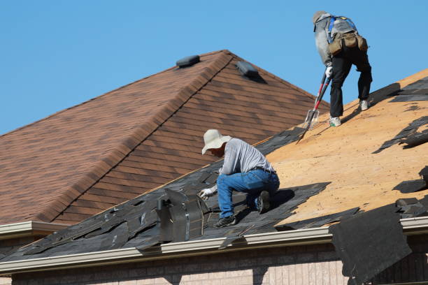 Best Asphalt Shingle Roofing  in Weatherly, PA